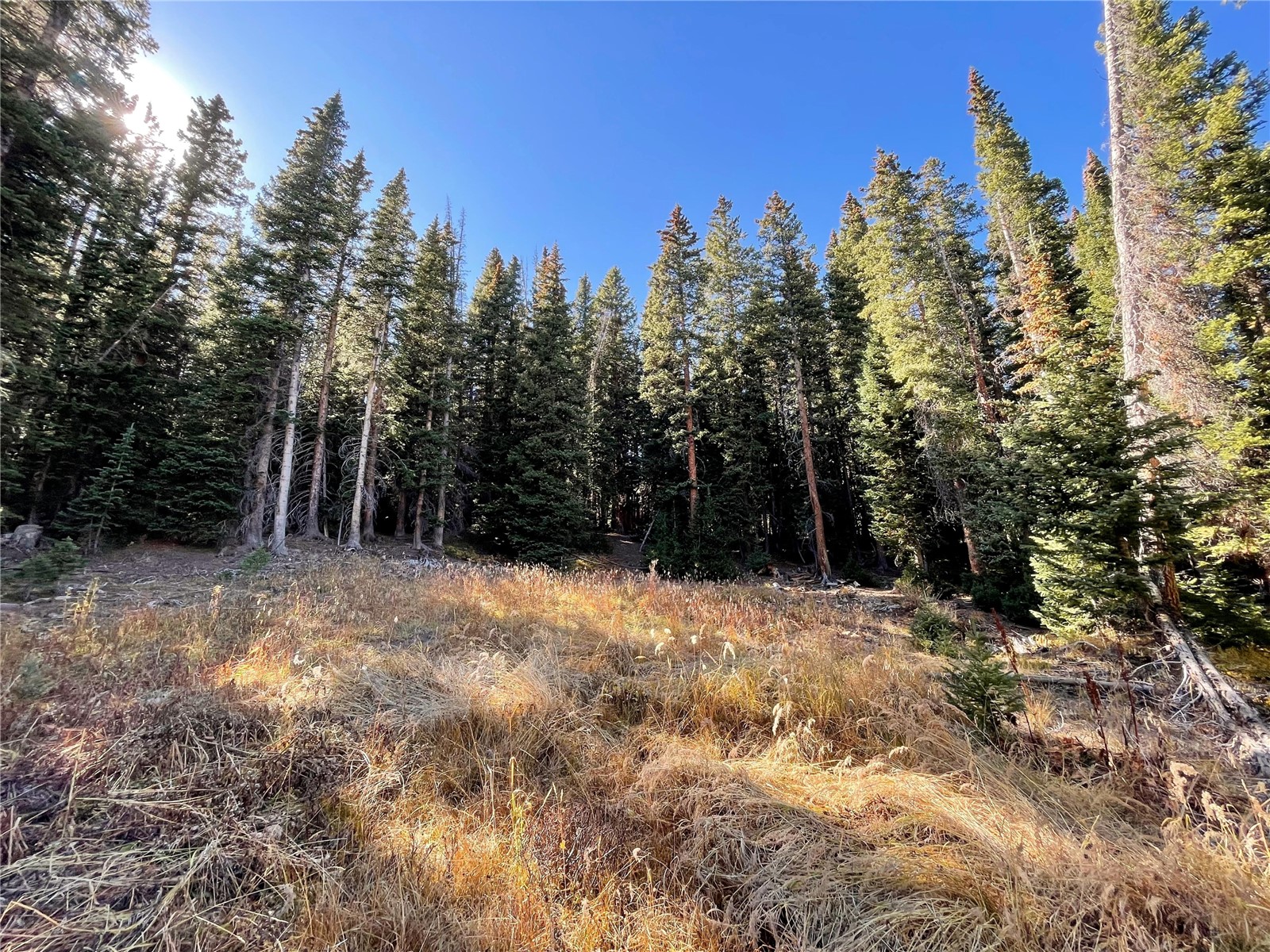 11 Kimmes Lane Breckenridge CO 80424