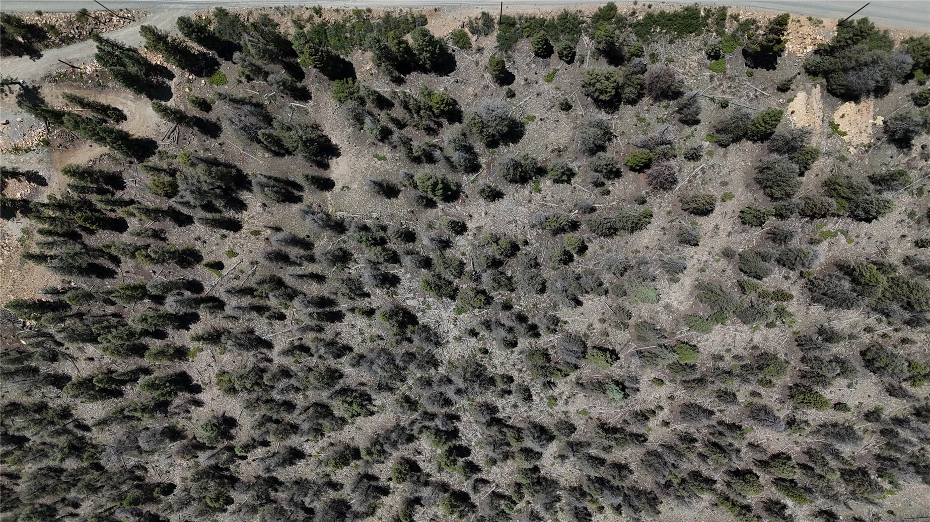 1348 Middle Fork Fairplay CO 80440