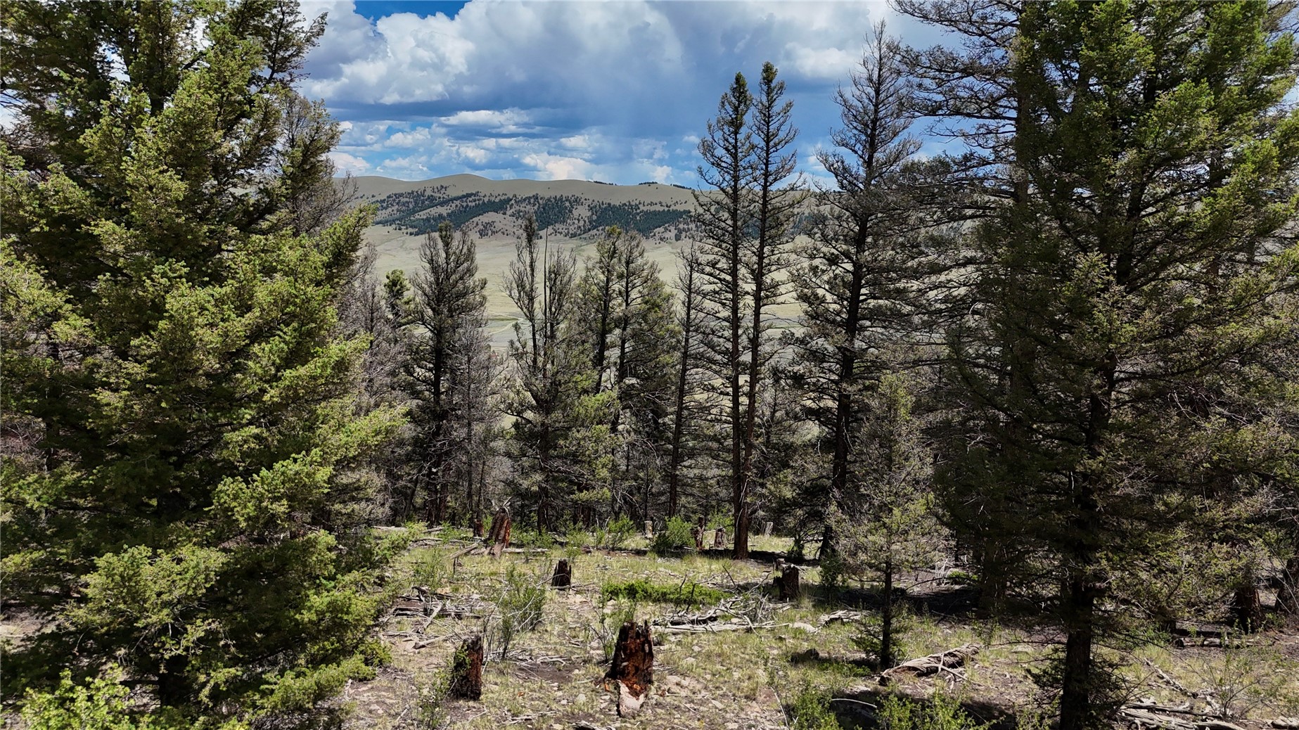 1348 Middle Fork Fairplay CO 80440