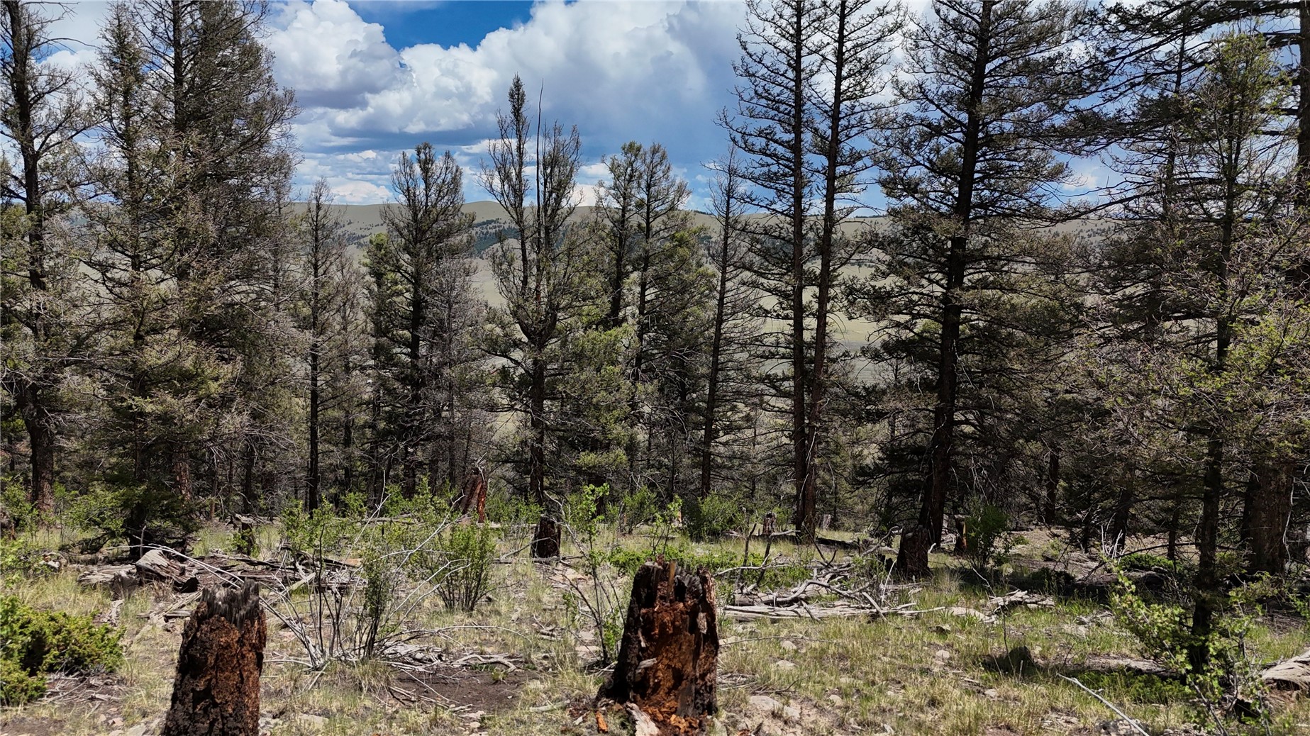 1348 Middle Fork Fairplay CO 80440