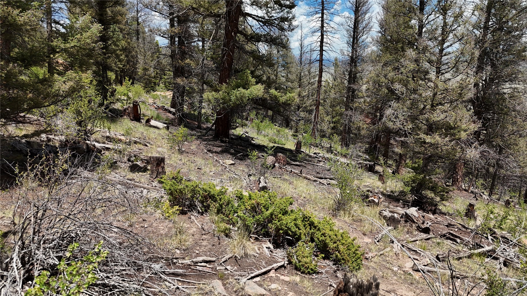 1348 Middle Fork Fairplay CO 80440