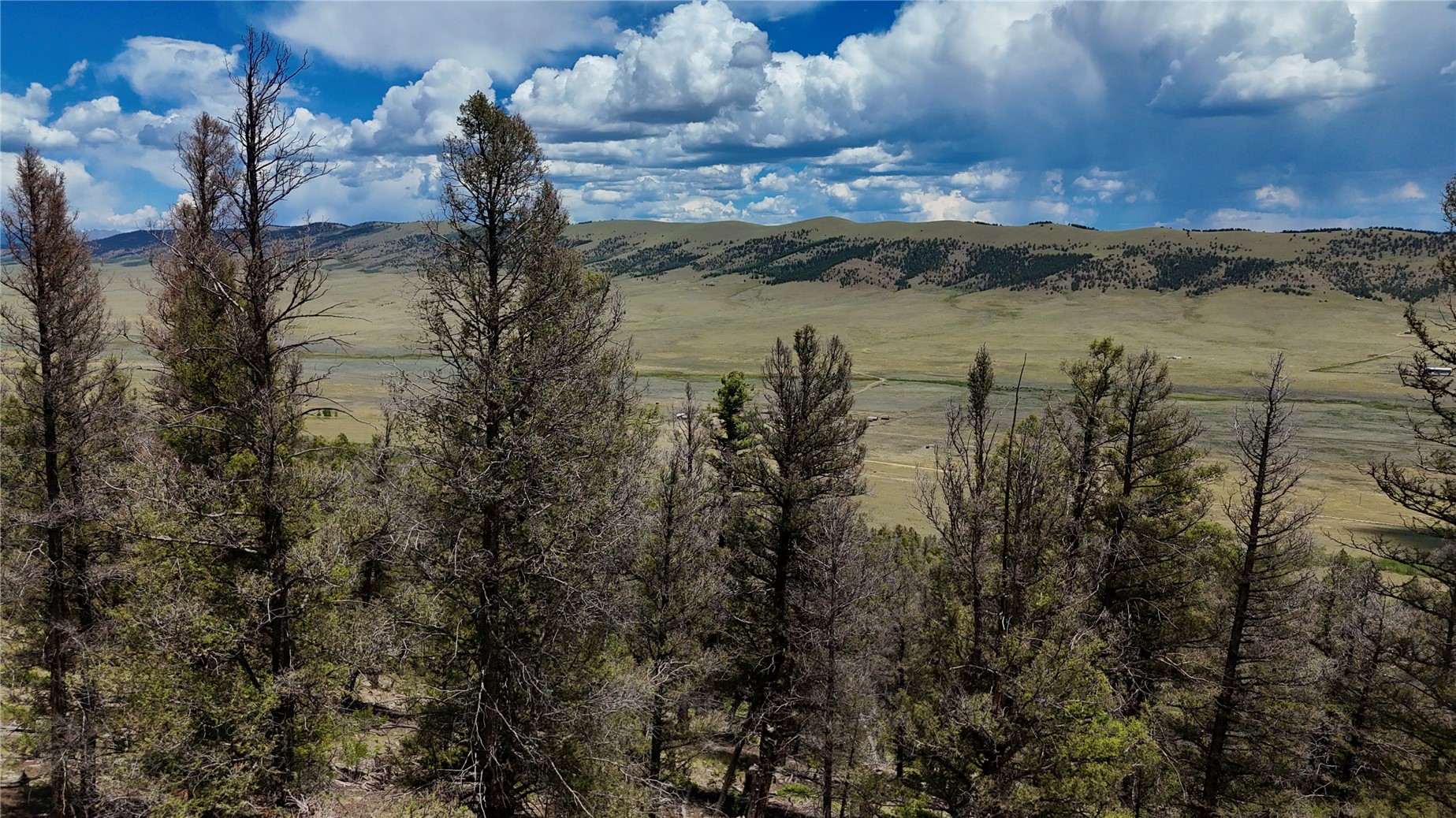 1348 Middle Fork Fairplay CO 80440