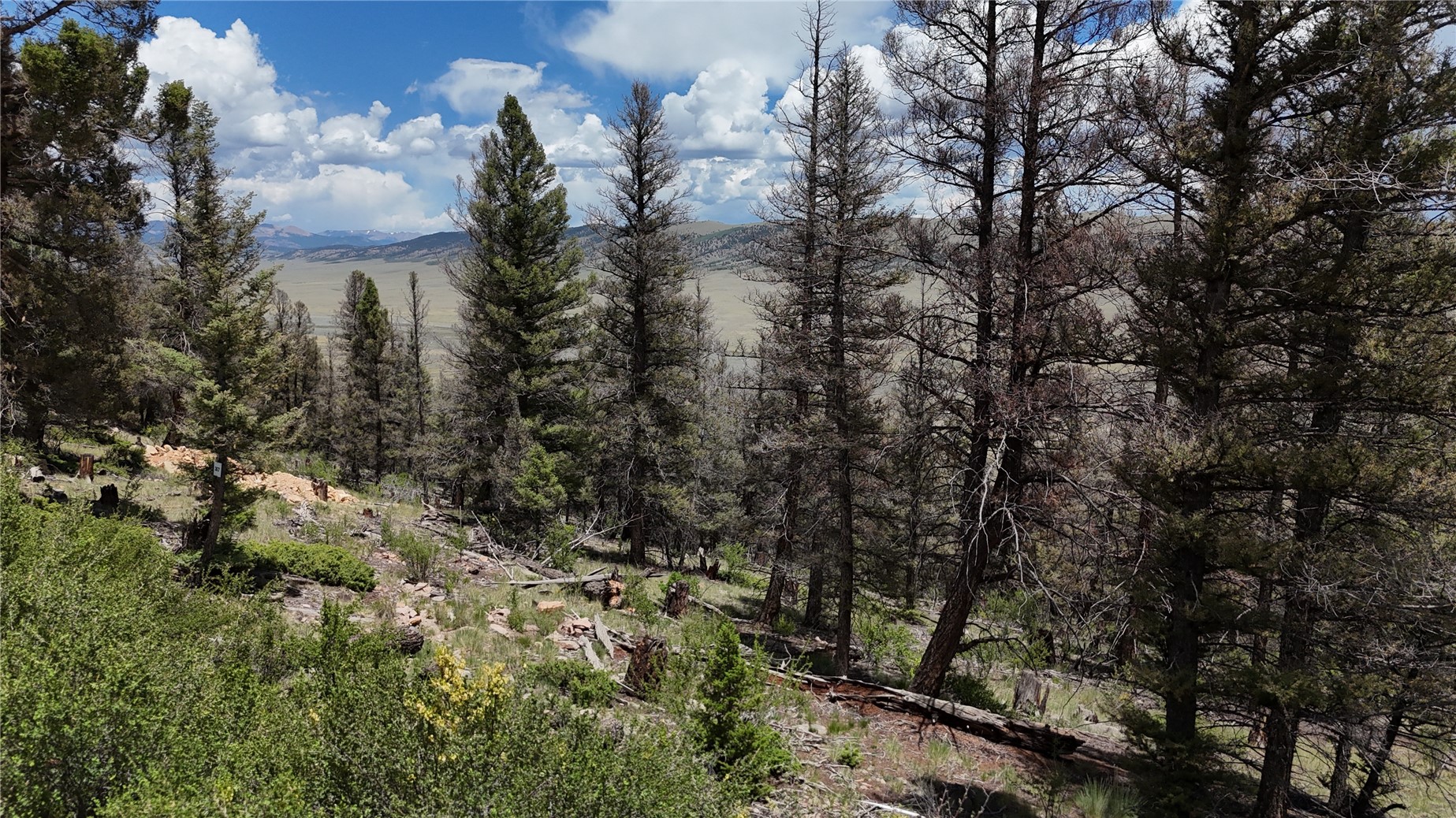 1348 Middle Fork Fairplay CO 80440