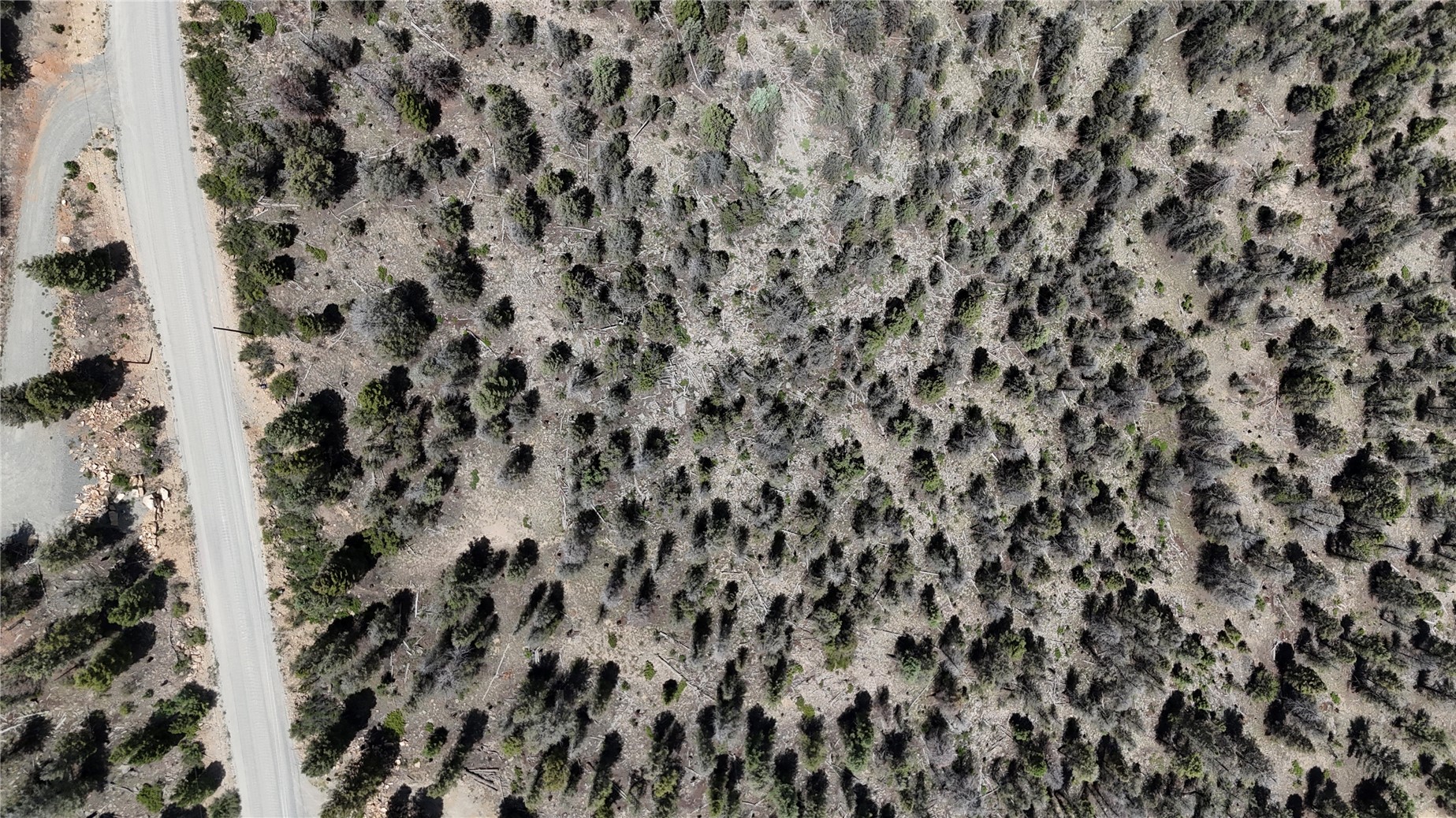 1348 Middle Fork Fairplay CO 80440