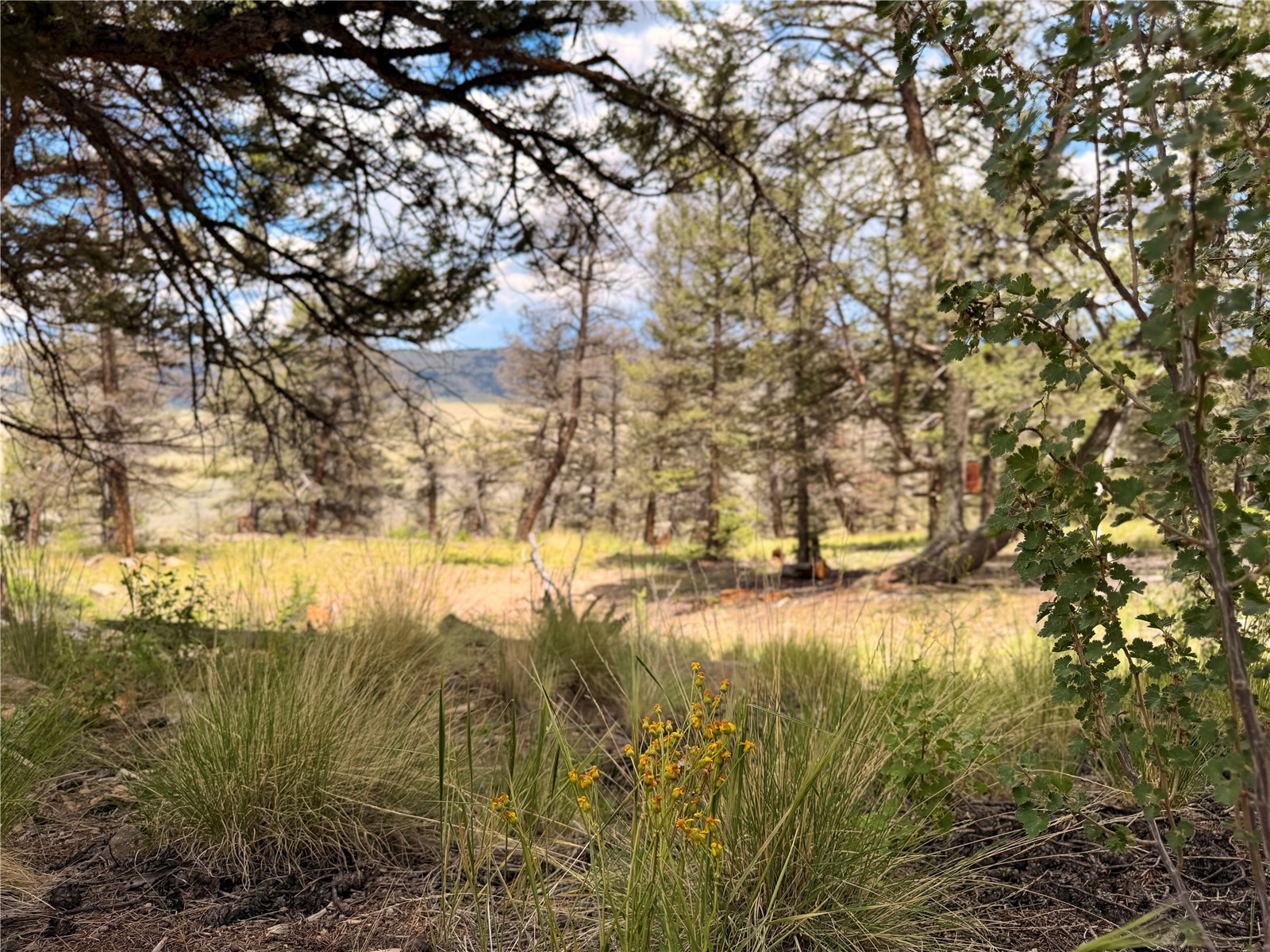 1348 Middle Fork Fairplay CO 80440