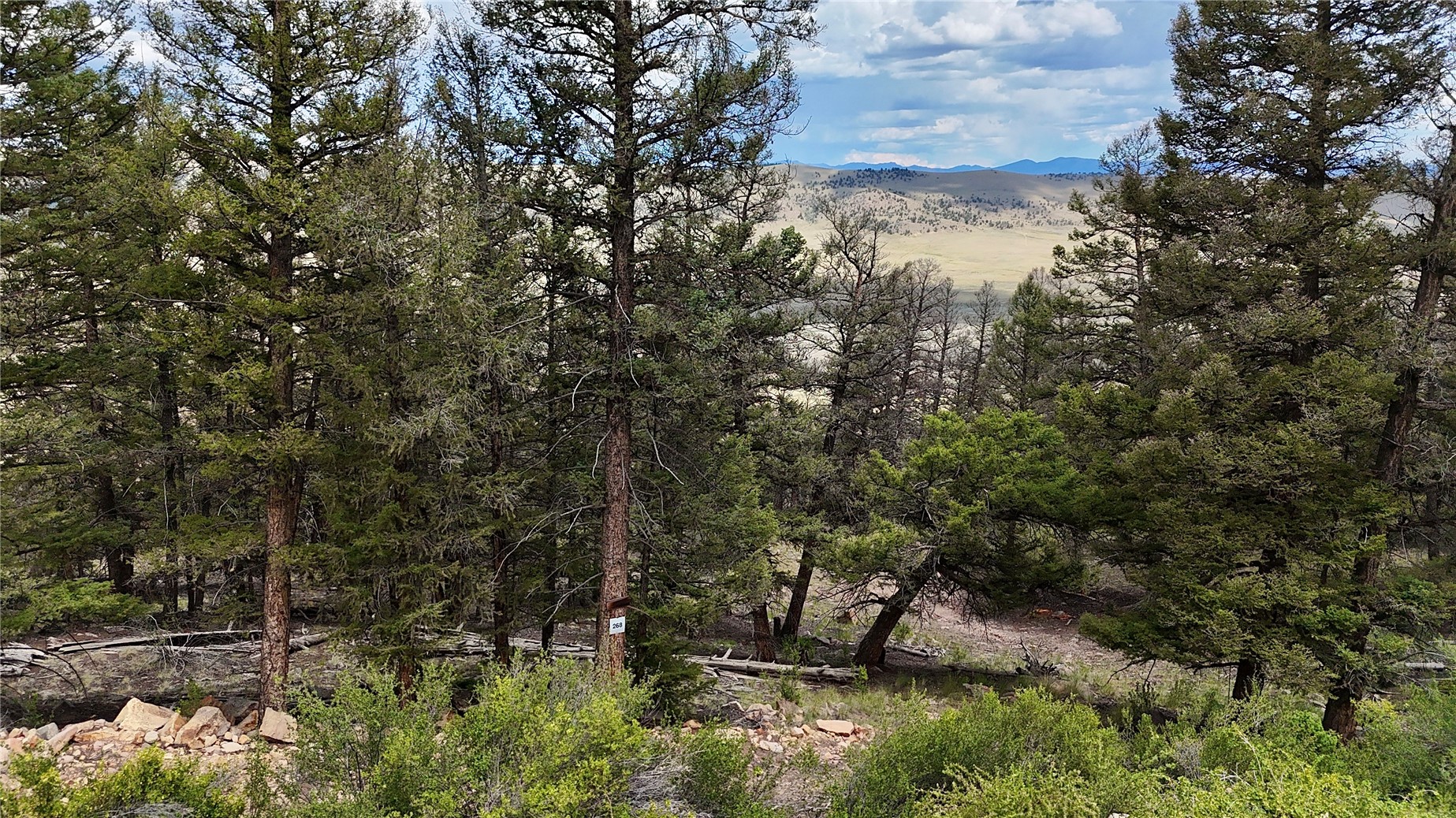 1348 Middle Fork Fairplay CO 80440