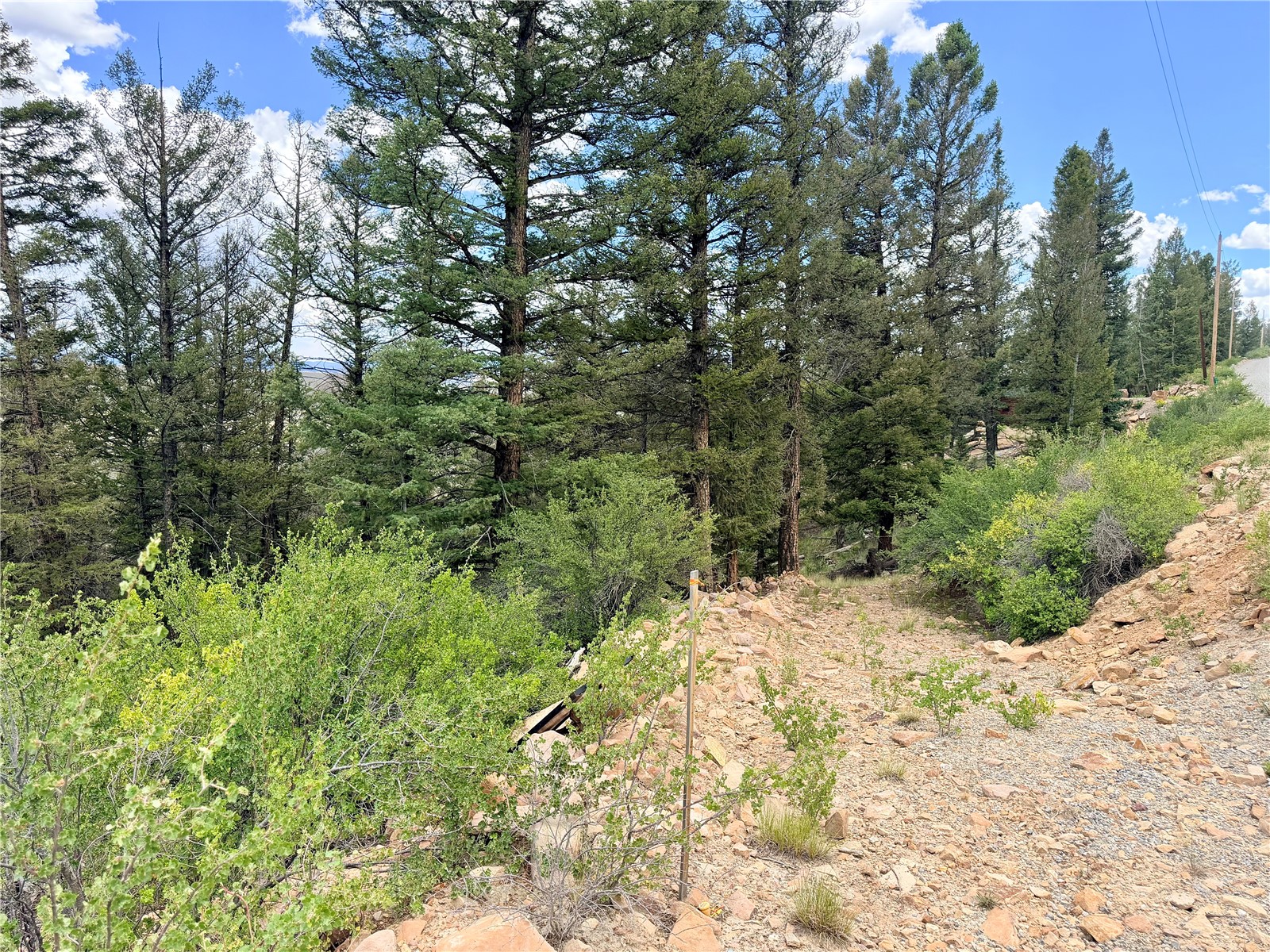 1348 Middle Fork Fairplay CO 80440