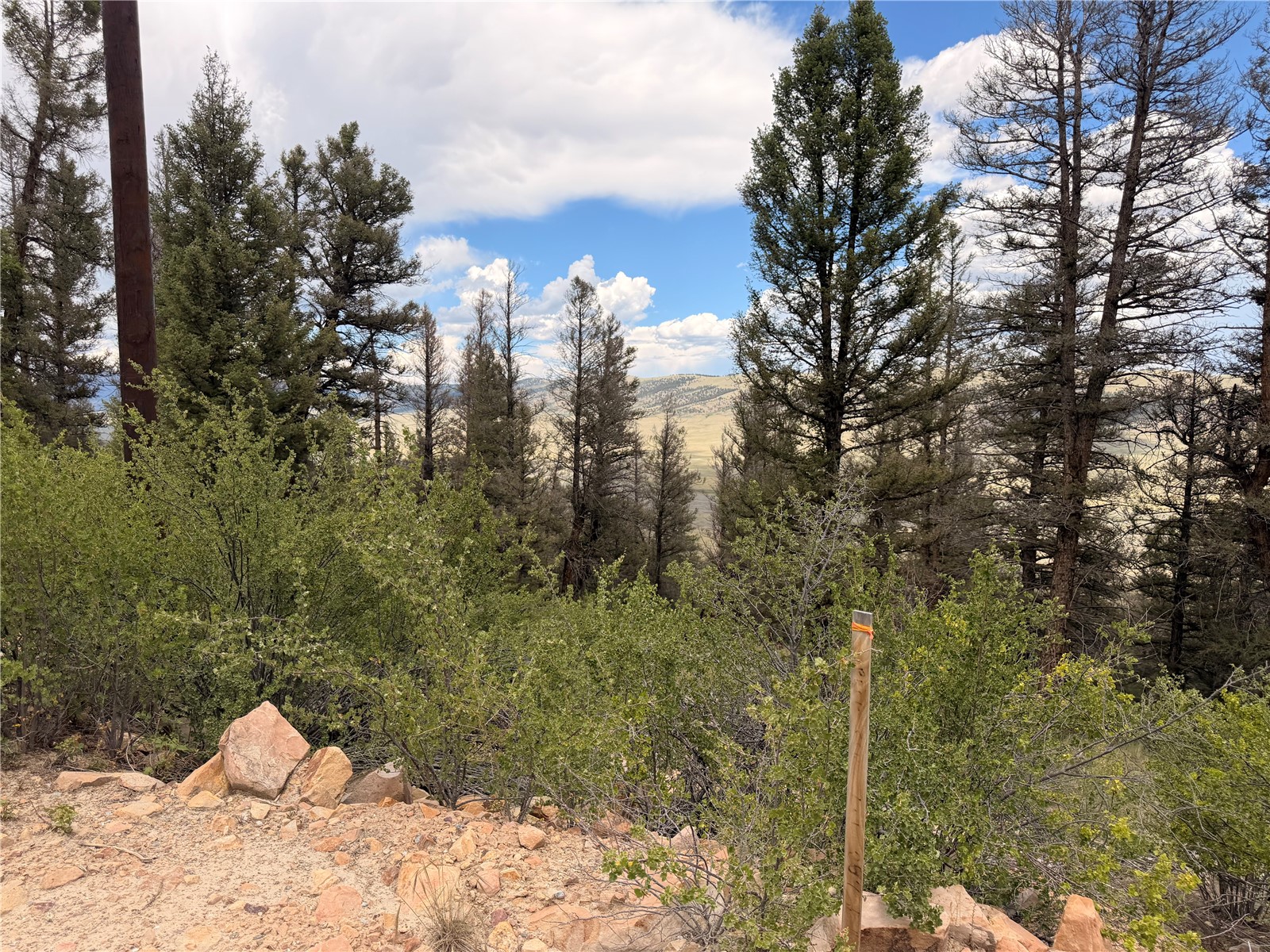 1348 Middle Fork Fairplay CO 80440