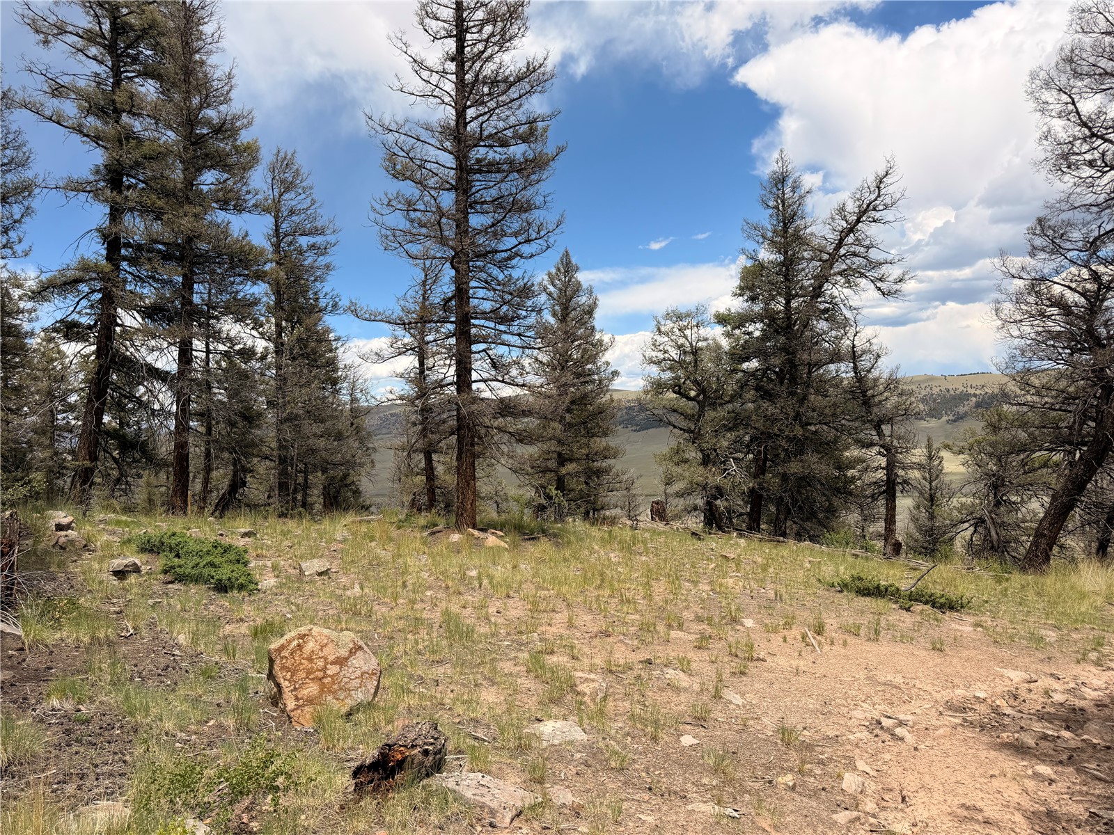 1348 Middle Fork Fairplay CO 80440