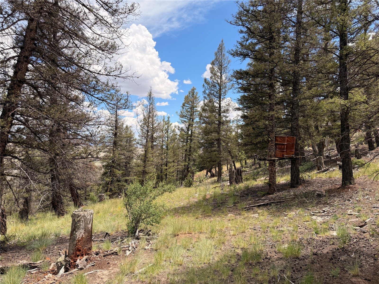 1348 Middle Fork Fairplay CO 80440