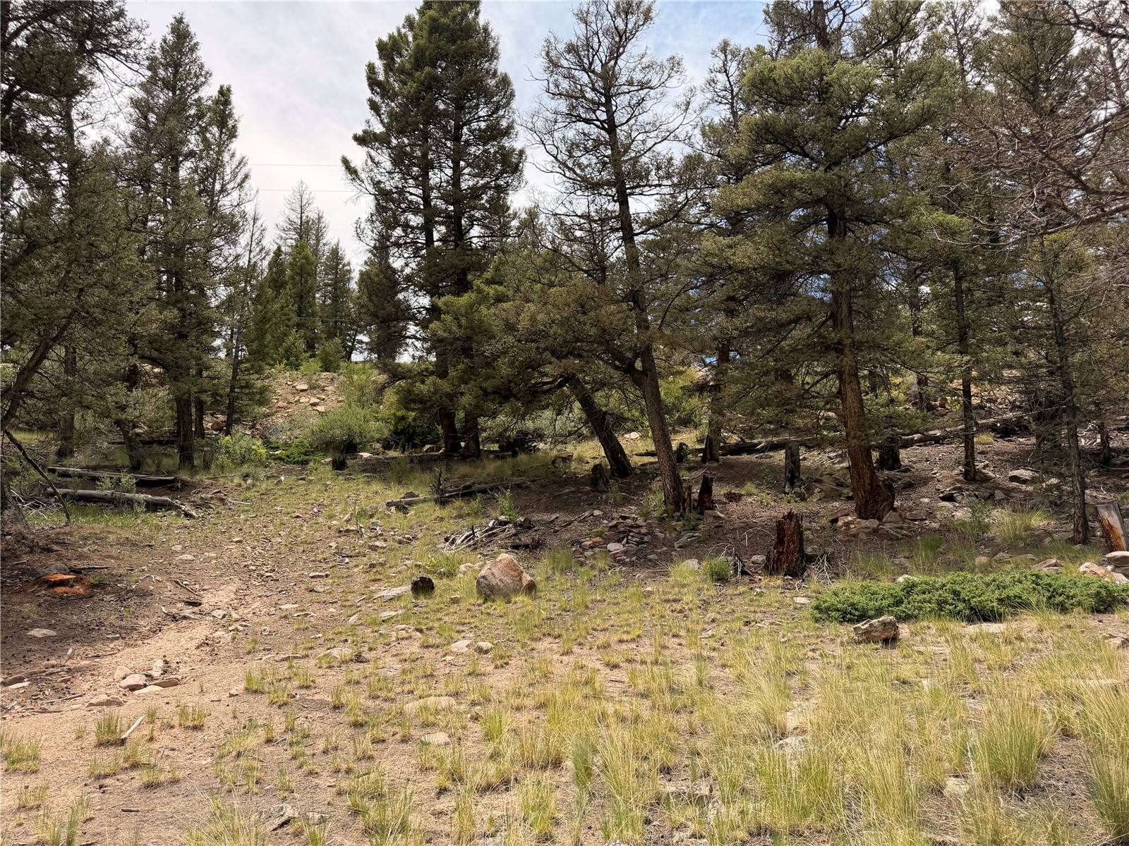 1348 Middle Fork Fairplay CO 80440