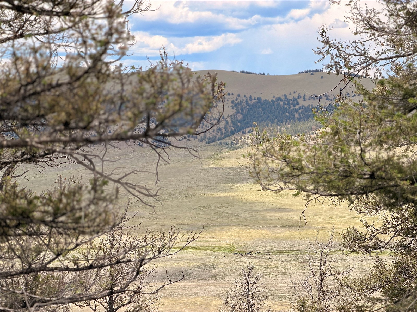 1348 Middle Fork Fairplay CO 80440