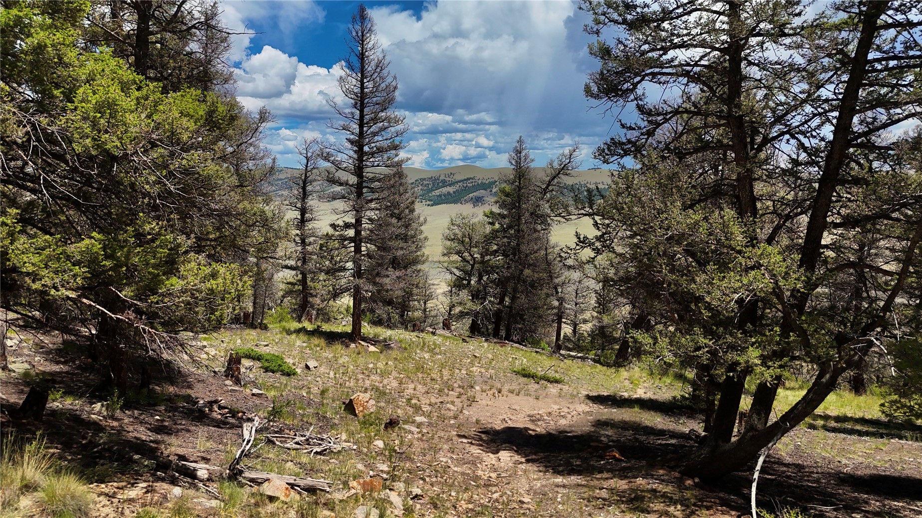 1348 Middle Fork Fairplay CO 80440
