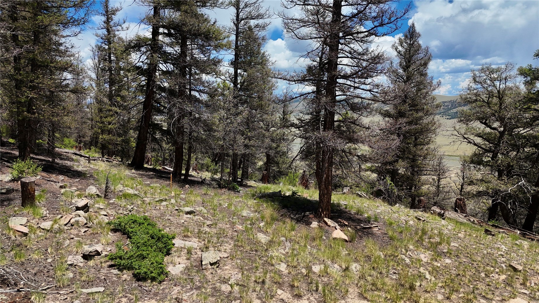 1348 Middle Fork Fairplay CO 80440
