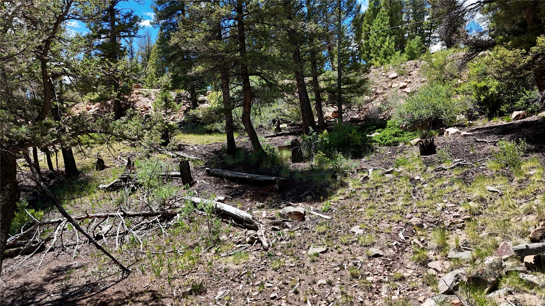 1348 Middle Fork Fairplay CO 80440
