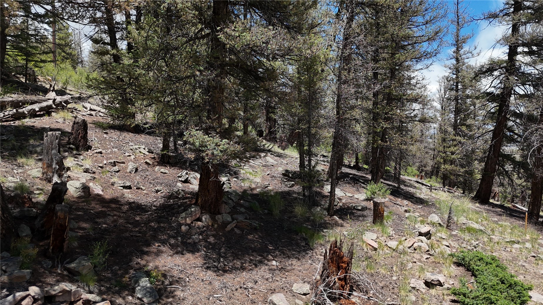 1348 Middle Fork Fairplay CO 80440