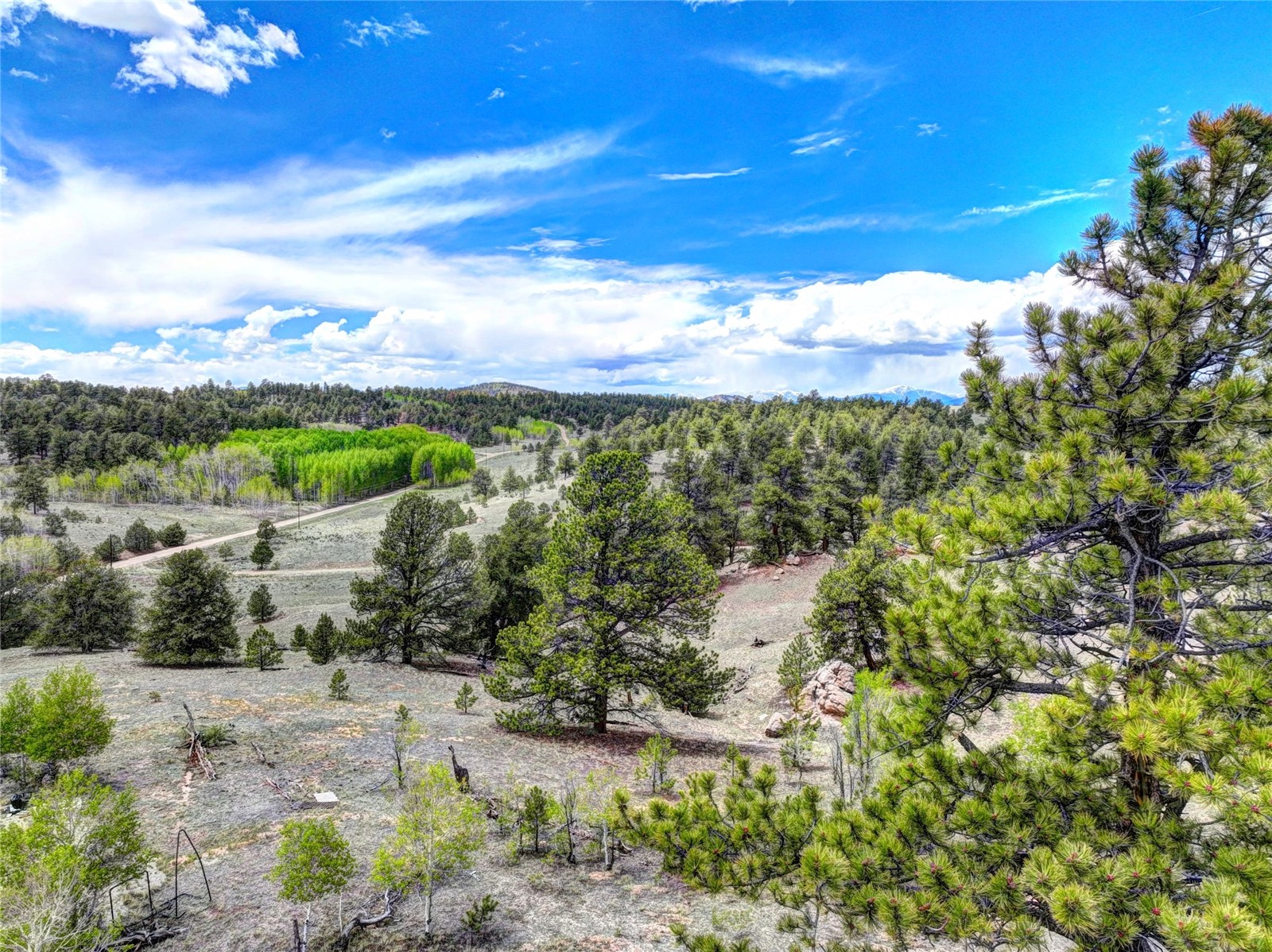 33 Jasper Way Hartsel CO 80449