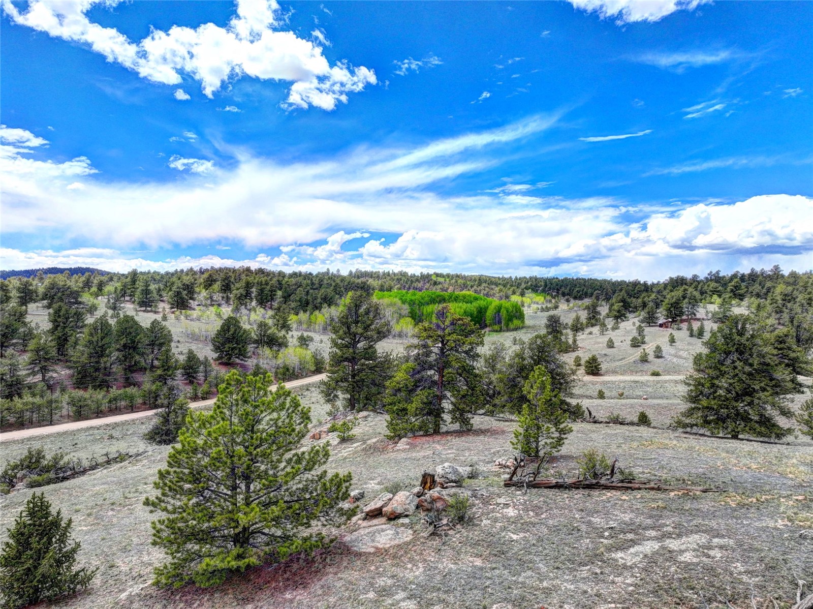33 Jasper Way Hartsel CO 80449