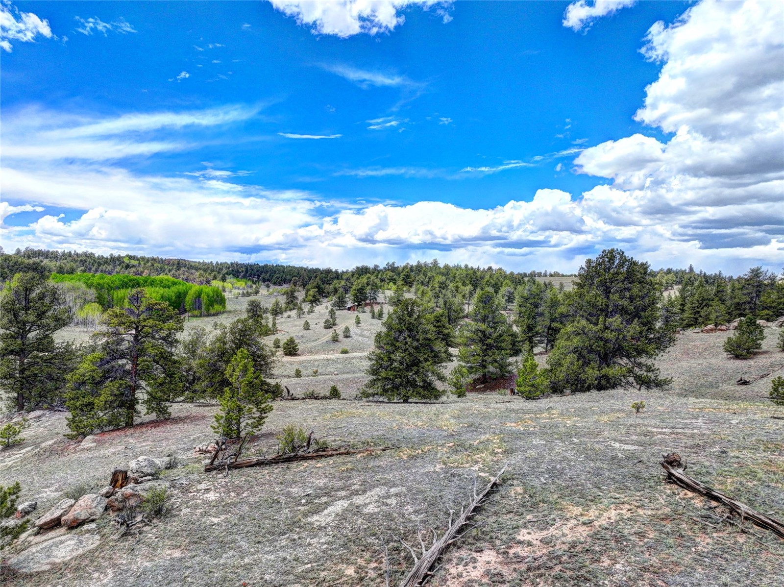 33 Jasper Way Hartsel CO 80449
