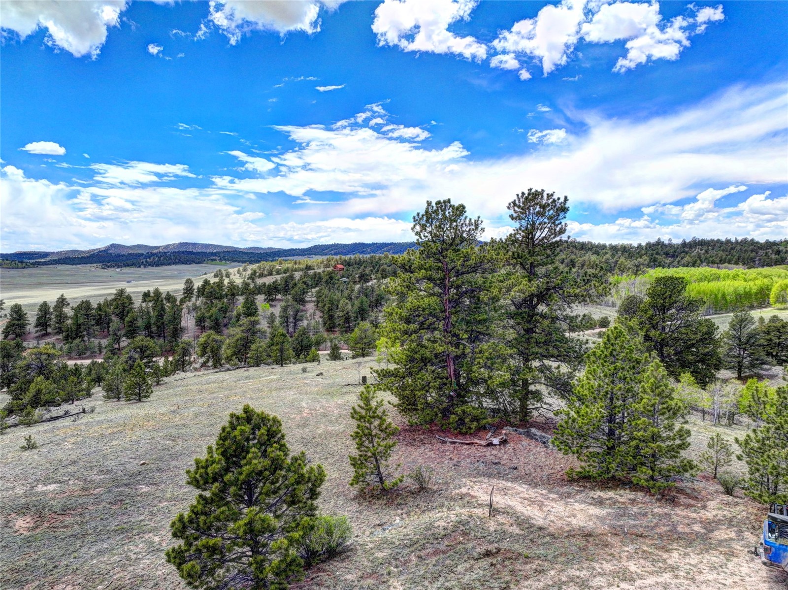 33 Jasper Way Hartsel CO 80449