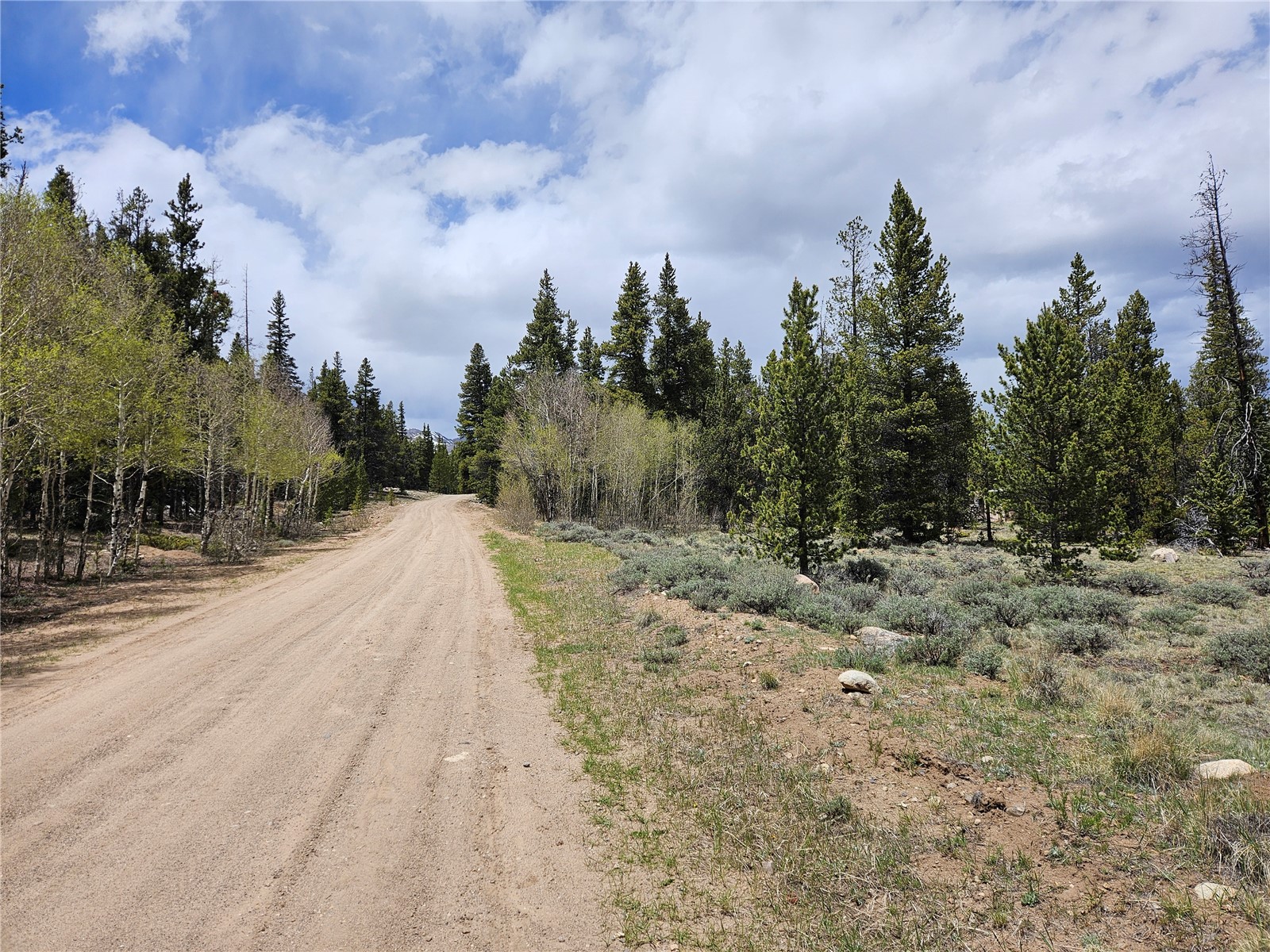 700 Looney Lane Alma CO 80420