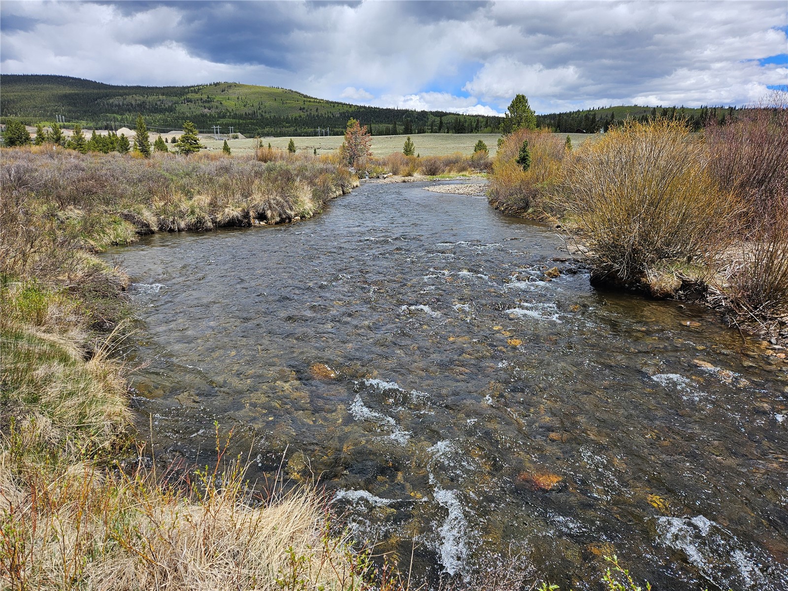 700 Looney Lane Alma CO 80420