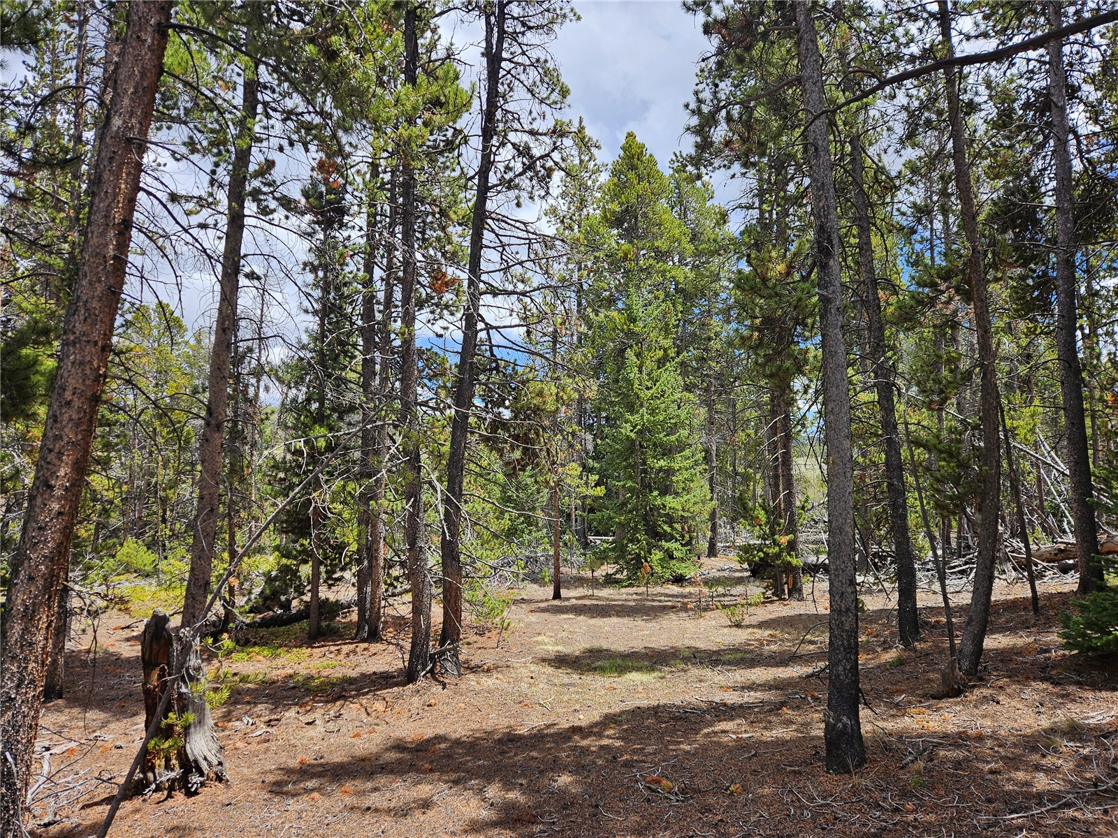700 Looney Lane Alma CO 80420