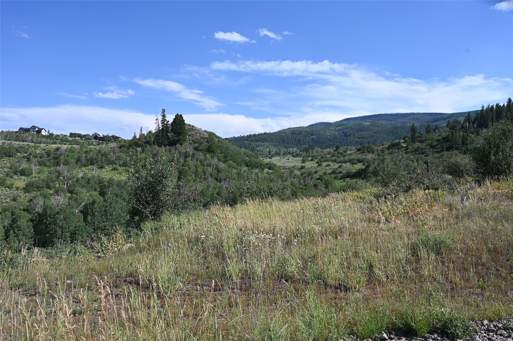 23590 Youngs Creek Way Oak Creek CO 80467