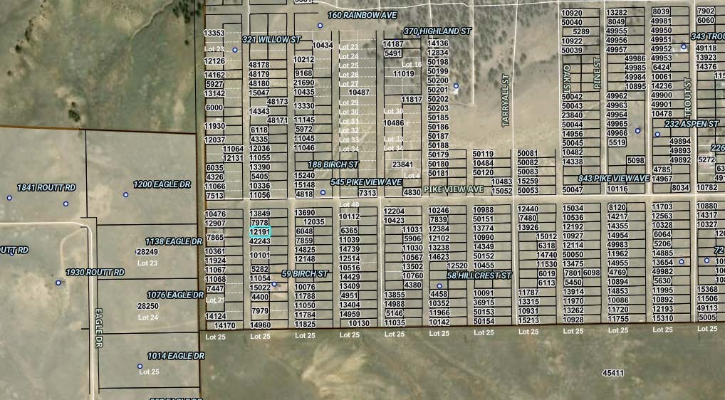 00002 Willow Street Hartsel CO 80449