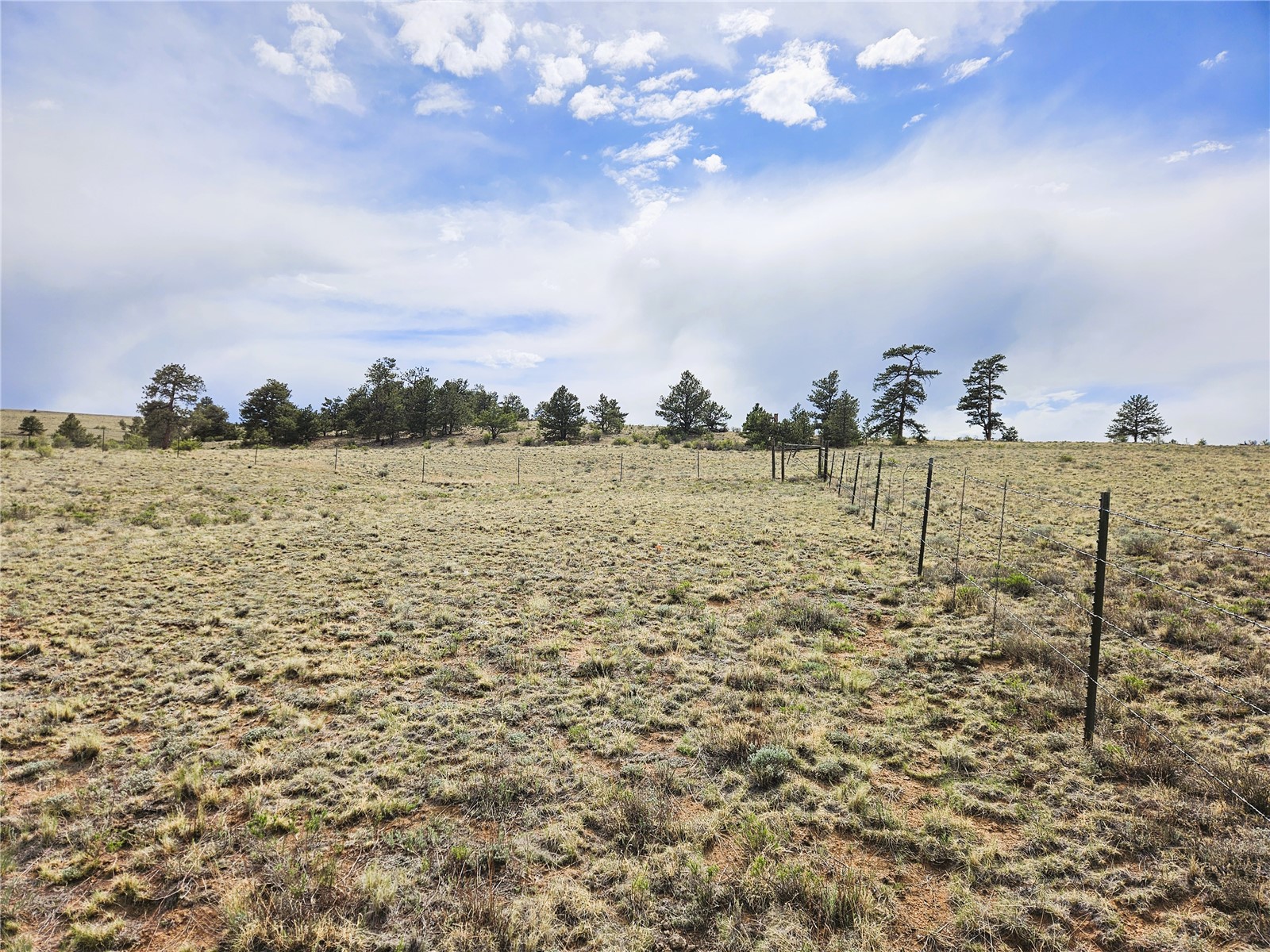 PCS#24131 Chato Road Hartsel CO 80449