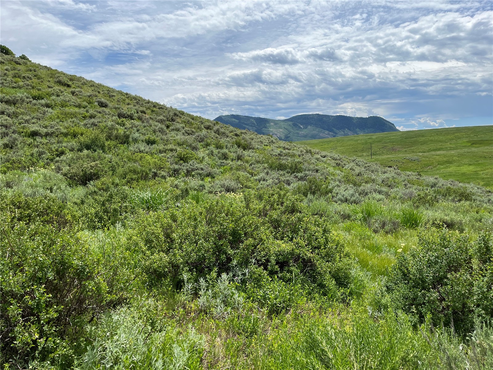 Tbd Routt County Road 46 Steamboat Springs CO 80487