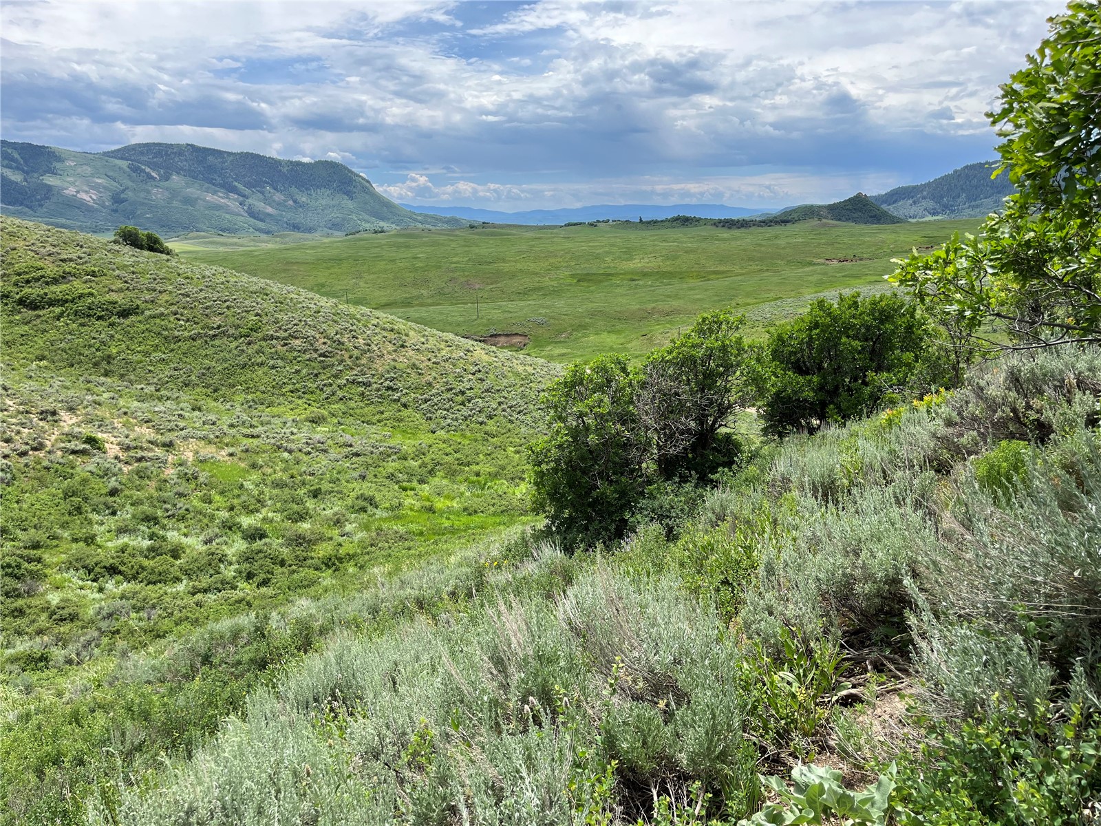 Tbd Routt County Road 46 Steamboat Springs CO 80487