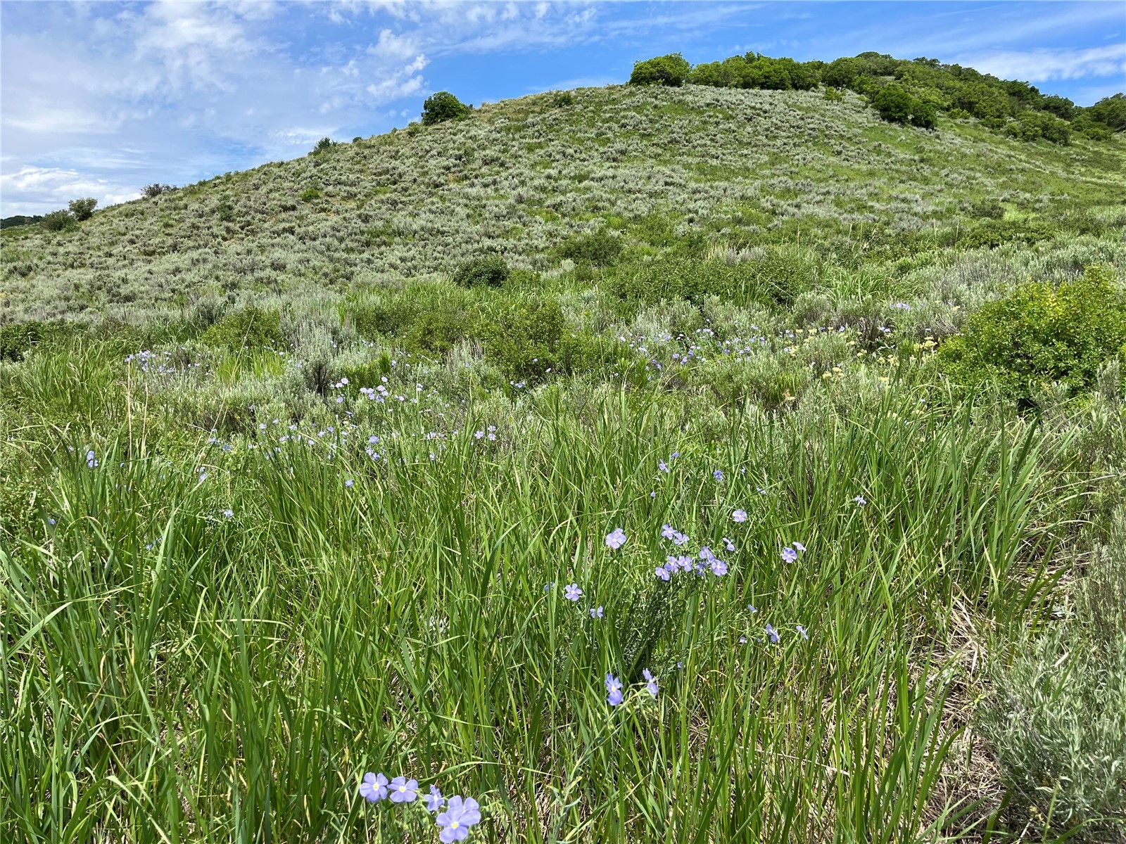 Tbd Routt County Road 46 Steamboat Springs CO 80487