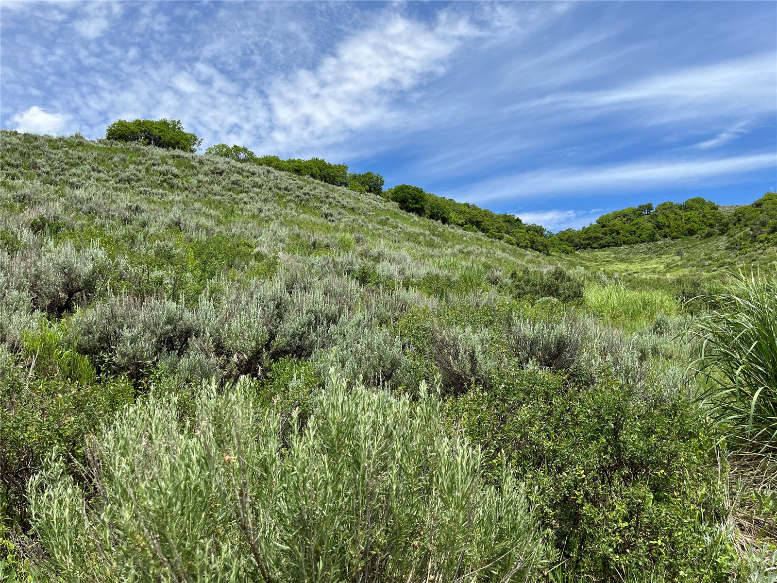 Tbd Routt County Road 46 Steamboat Springs CO 80487