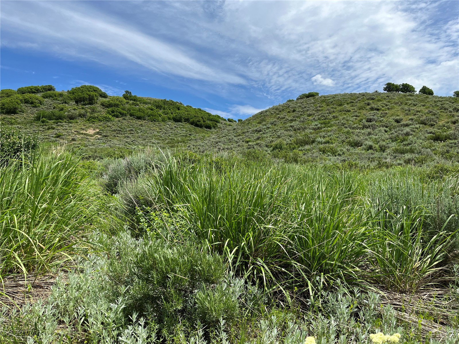 Tbd Routt County Road 46 Steamboat Springs CO 80487