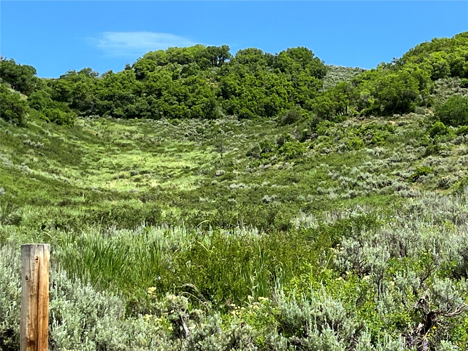 Tbd Routt County Road 46 Steamboat Springs CO 80487