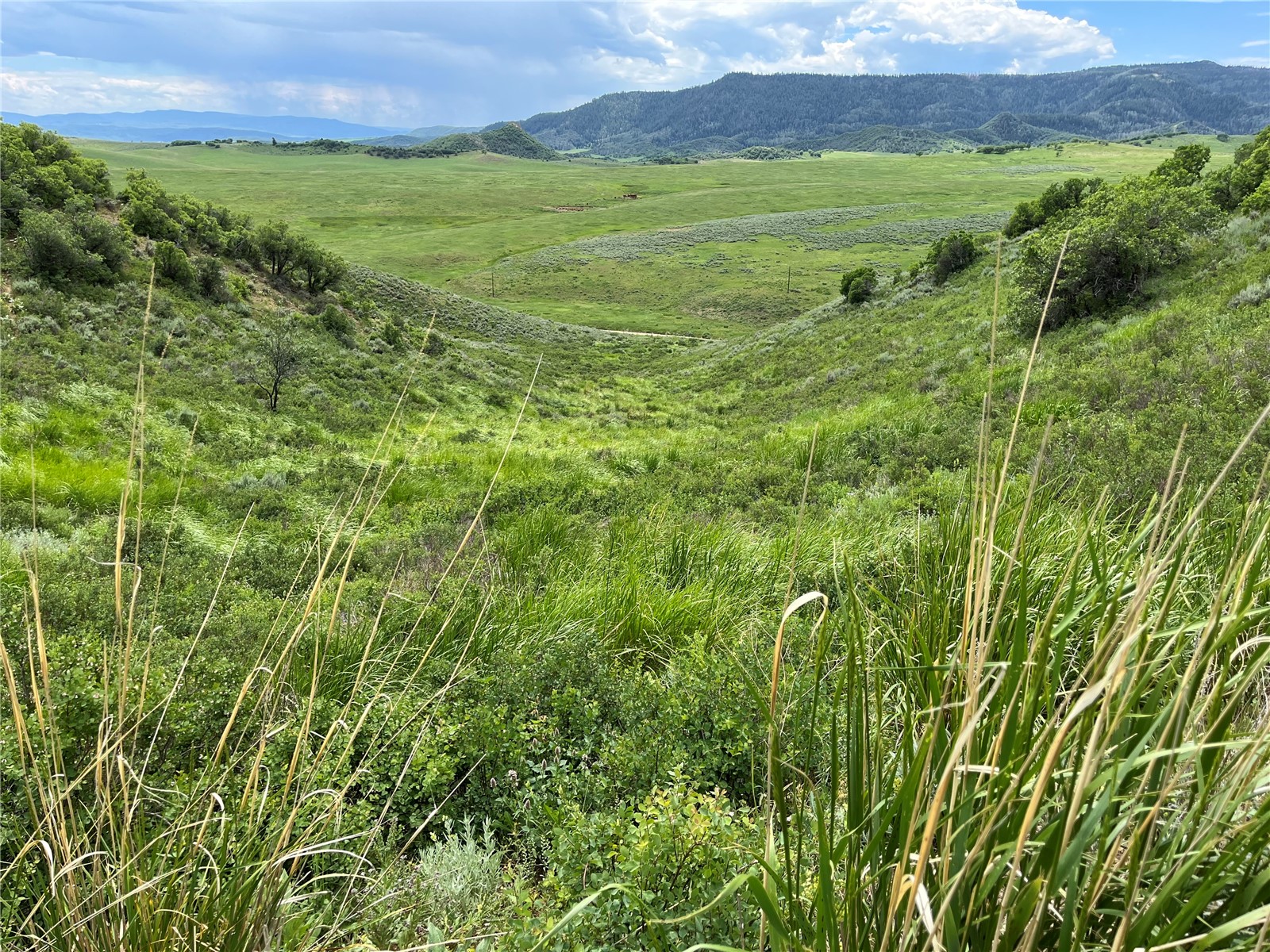 Tbd Routt County Road 46 Steamboat Springs CO 80487
