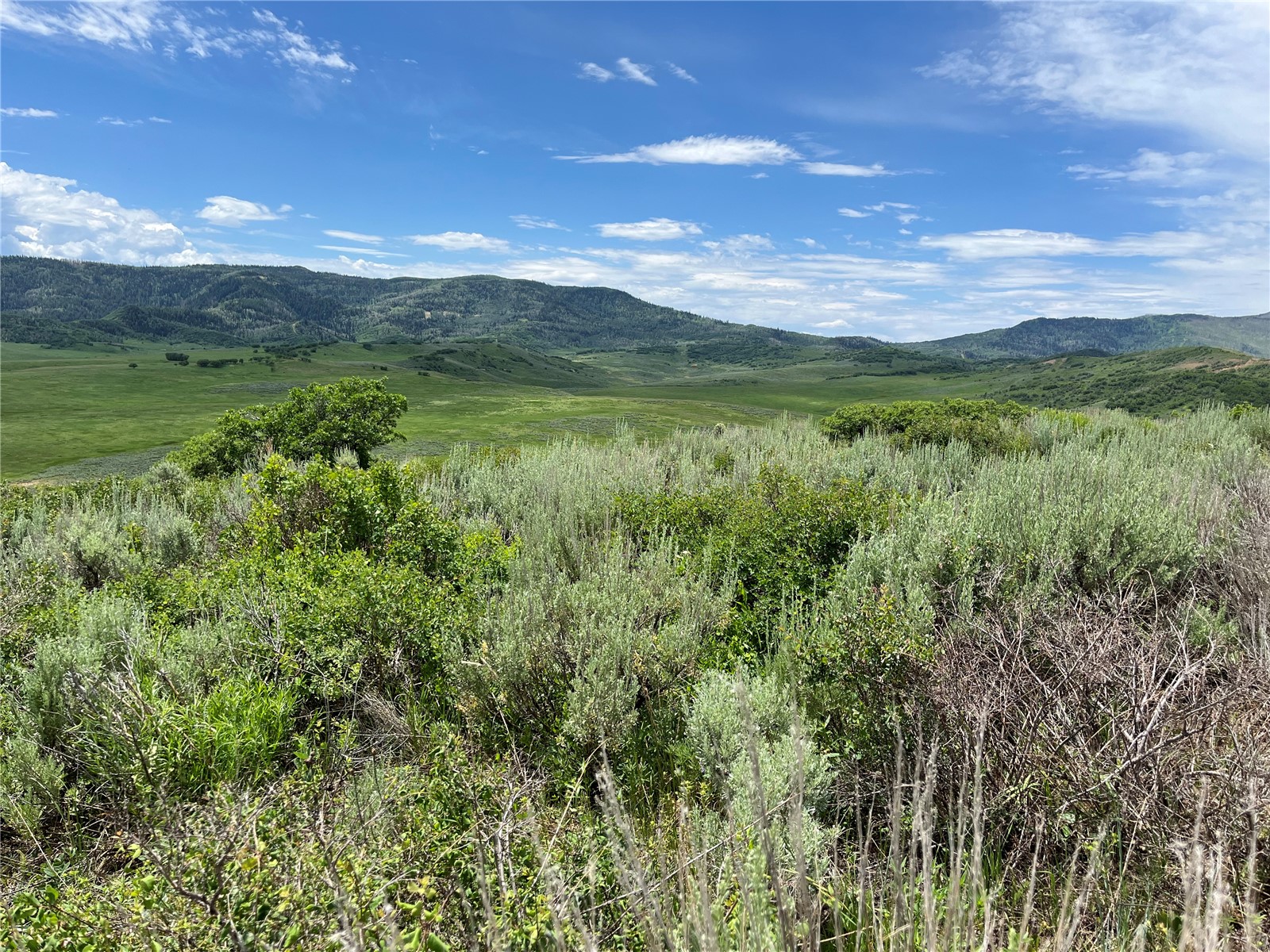 Tbd Routt County Road 46 Steamboat Springs CO 80487