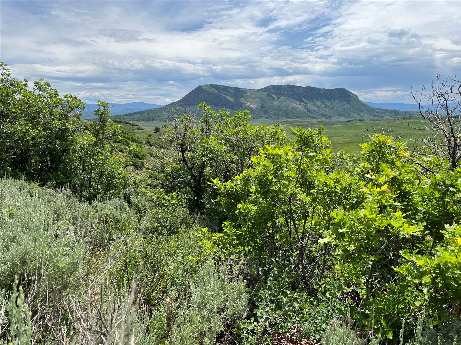 Tbd Routt County Road 46 Steamboat Springs CO 80487