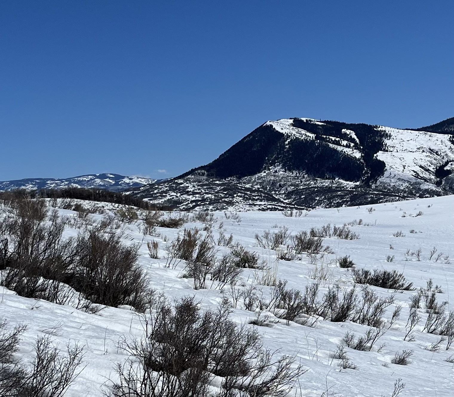 Tbd Routt County Road 46 Steamboat Springs CO 80487