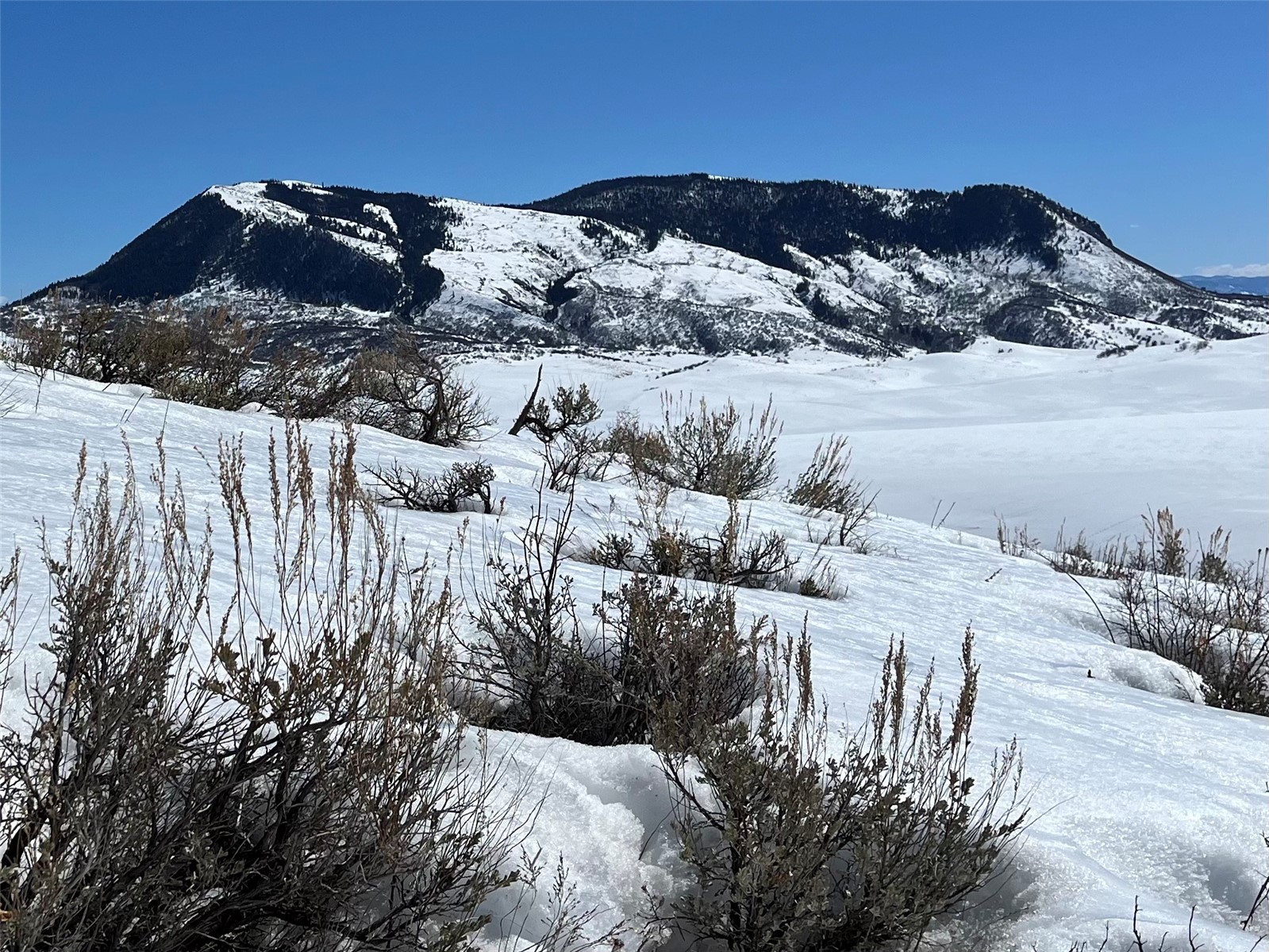Tbd Routt County Road 46 Steamboat Springs CO 80487