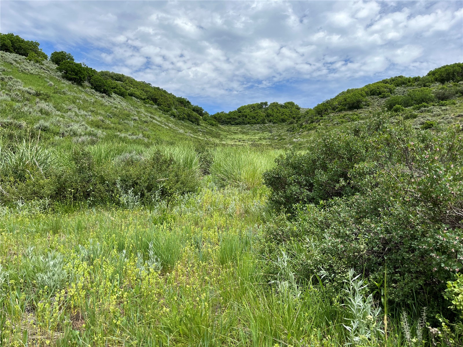 Tbd Routt County Road 46 Steamboat Springs CO 80487