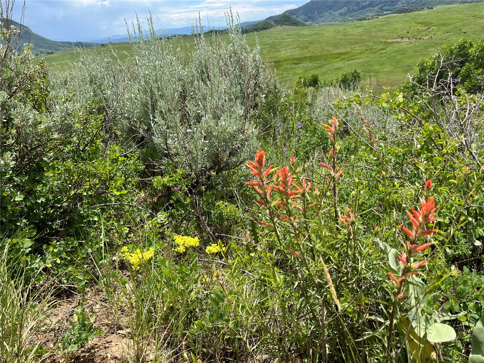 Tbd Routt County Road 46 Steamboat Springs CO 80487