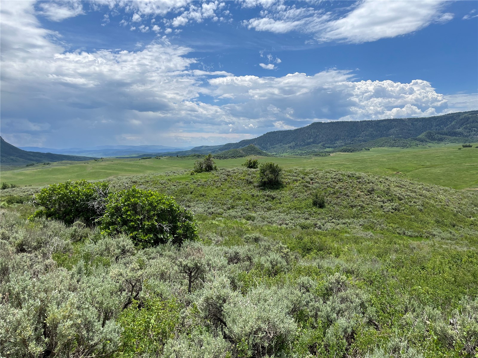 Tbd Routt County Road 46 Steamboat Springs CO 80487