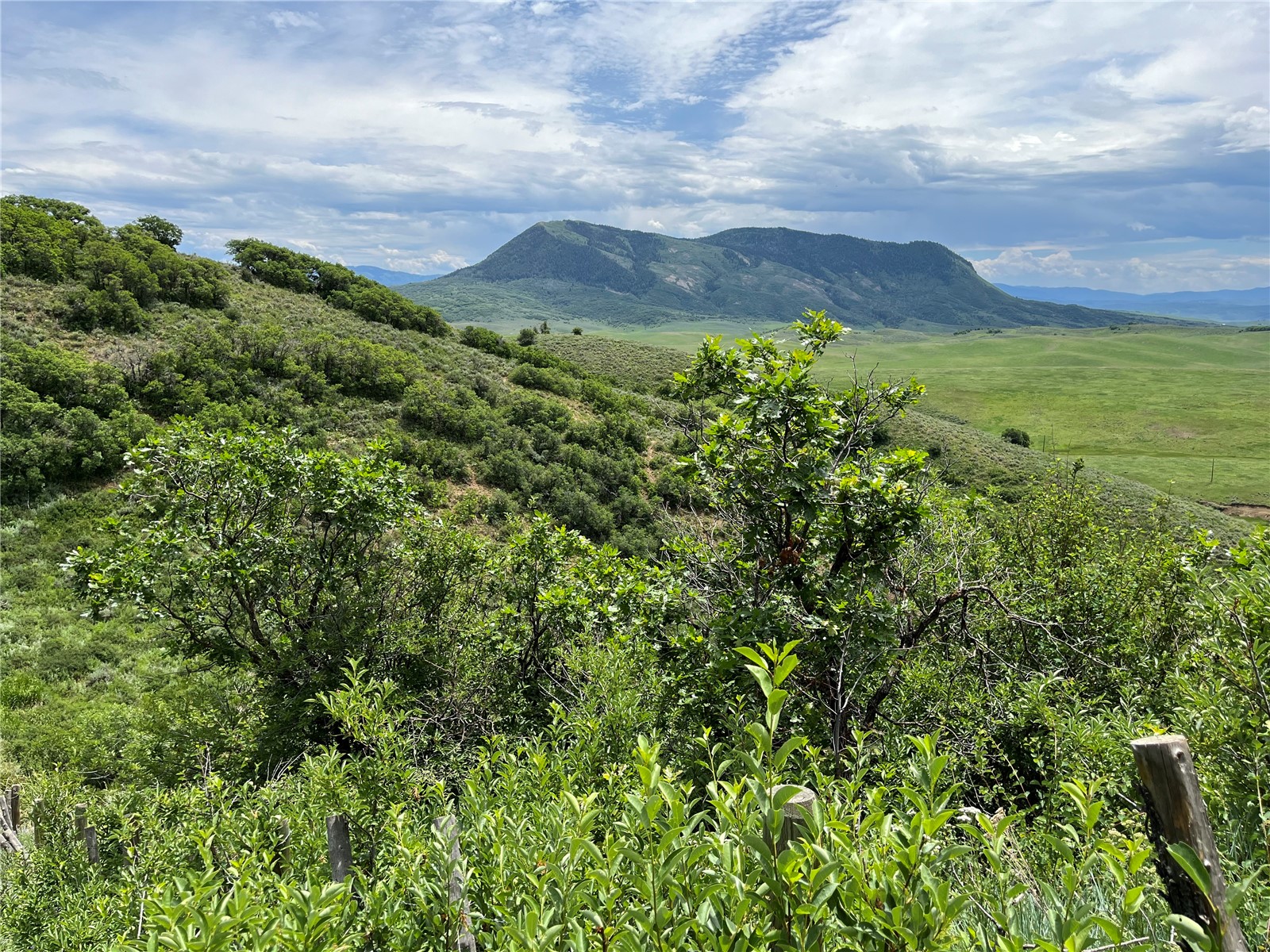 Tbd Routt County Road 46 Steamboat Springs CO 80487