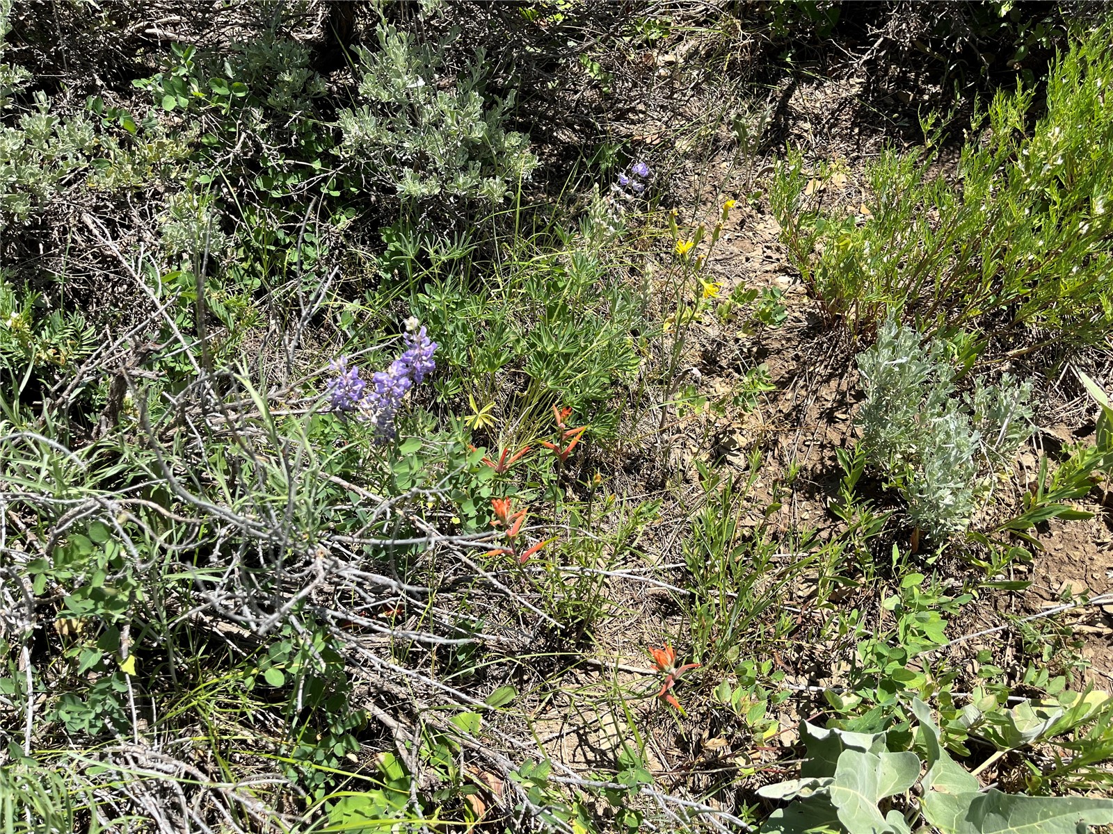 Tbd Routt County Road 46 Steamboat Springs CO 80487