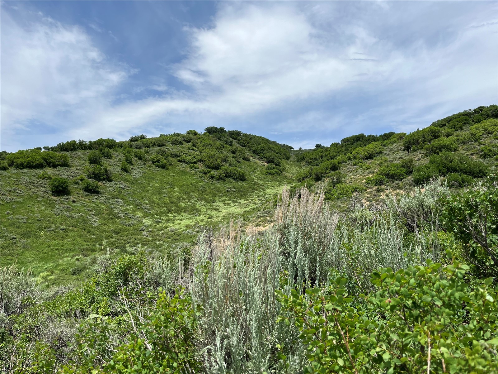 Tbd Routt County Road 46 Steamboat Springs CO 80487