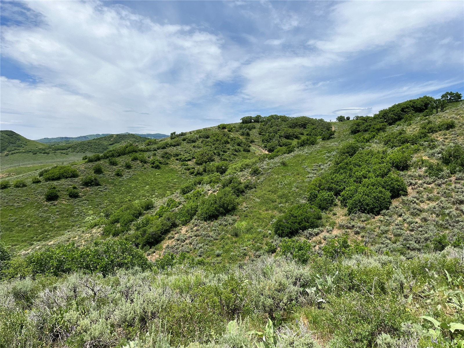 Tbd Routt County Road 46 Steamboat Springs CO 80487