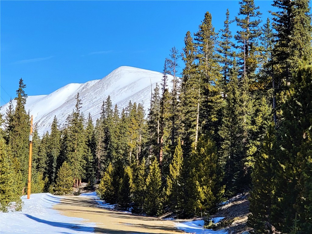 441 Gold Trail Fairplay CO 80440