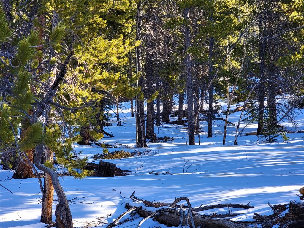 441 Gold Trail Fairplay CO 80440